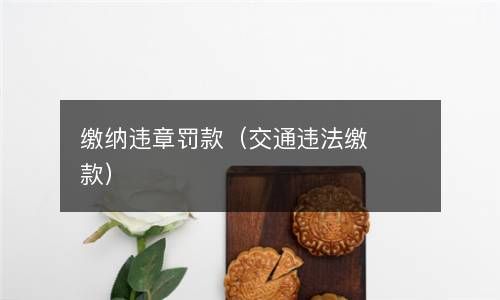 缴纳违章罚款（交通违法缴款） 