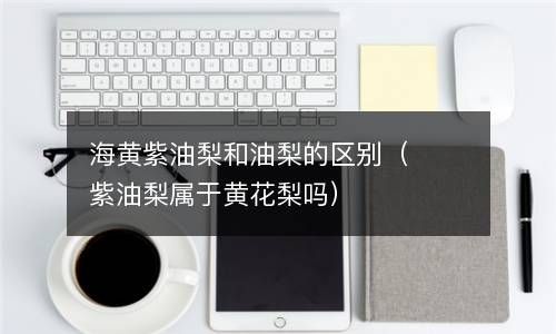 海黄紫油梨和油梨的区别（紫油梨属于黄花梨吗） 