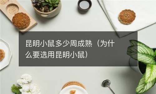 昆明小鼠多少周成熟（为什么要选用昆明小鼠） 