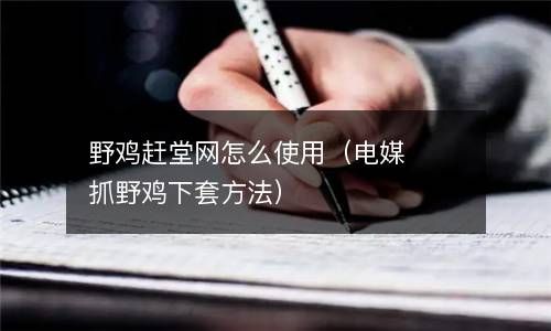 野鸡赶堂网怎么使用（电媒抓野鸡下套方法） 