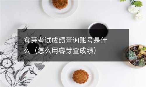 睿芽考试成绩查询账号是什么（怎么用睿芽查成绩） 