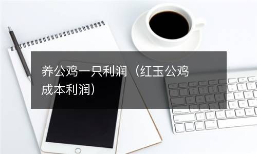 养公鸡一只利润（红玉公鸡成本利润） 