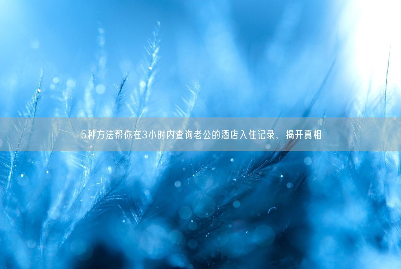 5种方法帮你在3小时内查询老公的酒店入住记录，揭开真相 