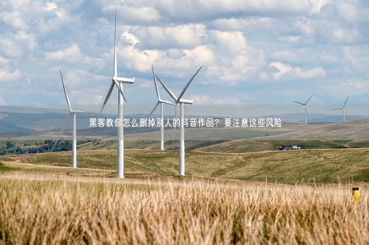 教你怎么删掉别人的抖音作品？要注意这些风险 